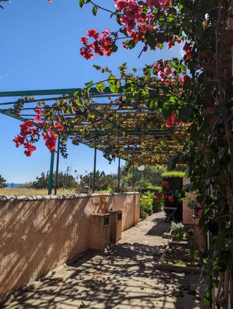 312493471_10227495050055801_7843956948406758860_n