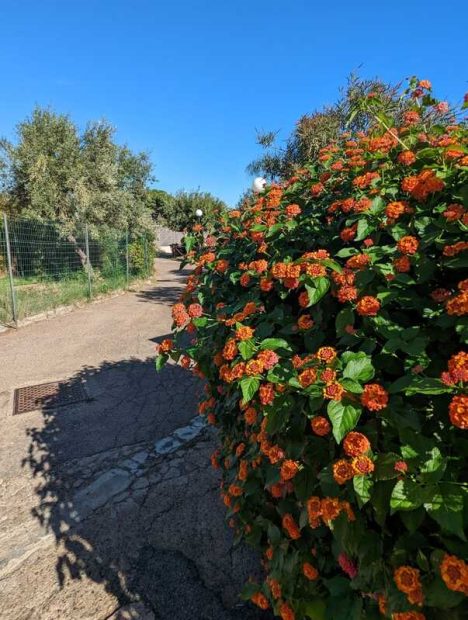 313028367_10227495042015600_8974997047322708432_n