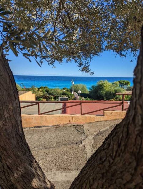 313036714_10227495315782444_1764136424026645169_n