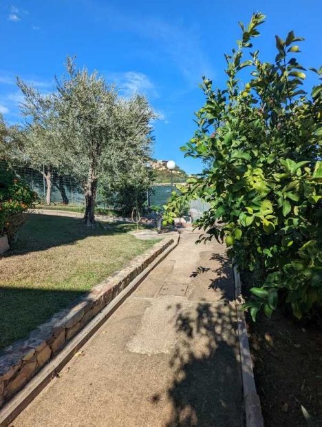 313342504_10227495051335833_7879656393344716583_n