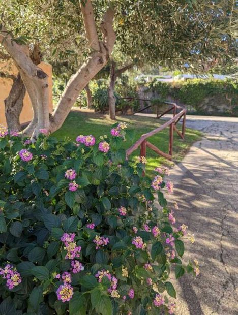 313367472_10227495333262881_4880226985552062977_n