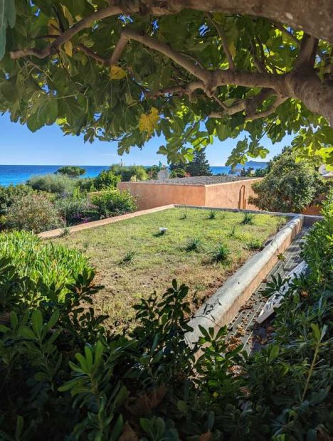 313391436_10227495315382434_7820443739244347630_n