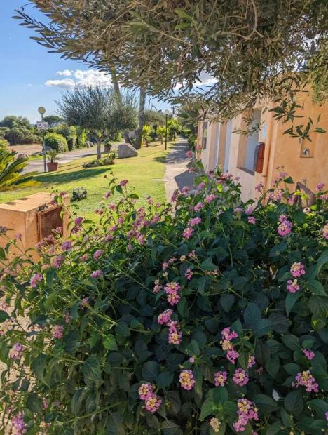 313401031_10227495332542863_4948284098541201055_n