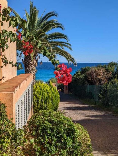 313411035_10227495316582464_6998651281076708781_n