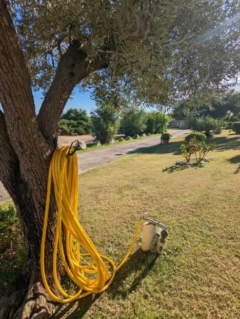 313433917_10227495334862921_91553041375456598_n