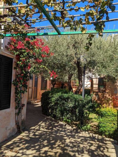 314365447_10227495049815795_5341386503121346978_n