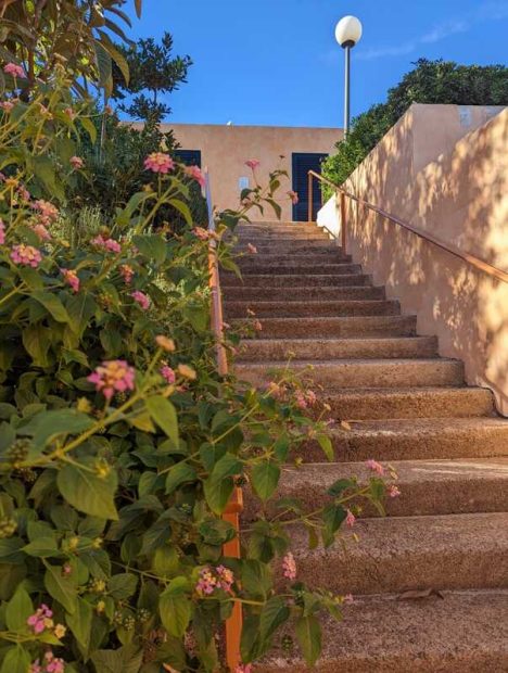 314389325_10227495314502412_7217015608927915435_n