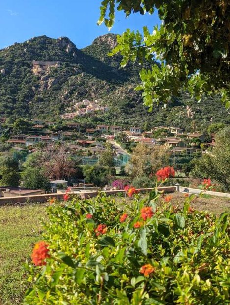 314399496_10227495333862896_2981146505466359182_n