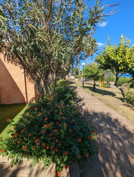 314415847_10227495336142953_6666125524037019761_n